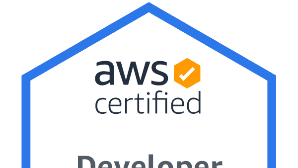 AWS 認定 Developer - Associate (DVA-C01) 受験記録